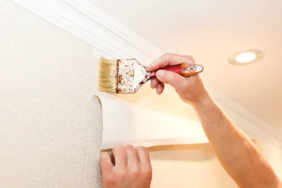 Pose de papier peint à Palairac — revêtements muraux et toiles de verre
